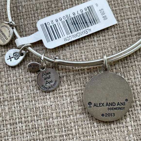 Alex And Ani Bracelet Zodiac AQUARIUS Silver Tone Wrist Band Size Adjustable $28 - Picture 7 of 11